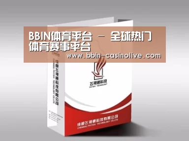 项目名称十三