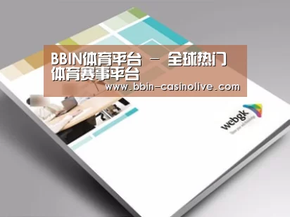 项目名称九
