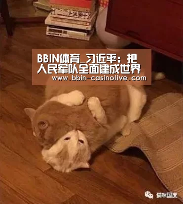 BBIN篮球